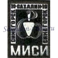 ССО МИСИ Синегорск-Южно-Сахалинск 1970